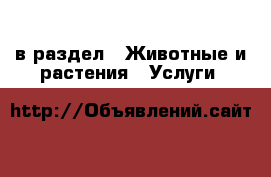  в раздел : Животные и растения » Услуги 